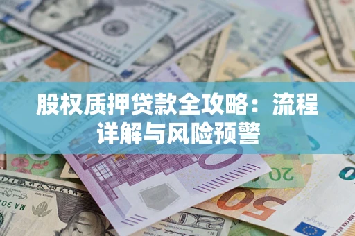 北京股权质押贷款全攻略：流程详解与风险预警