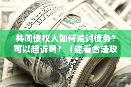 北京共同债权人如何追讨债务？可以起诉吗？（速看合法攻略）