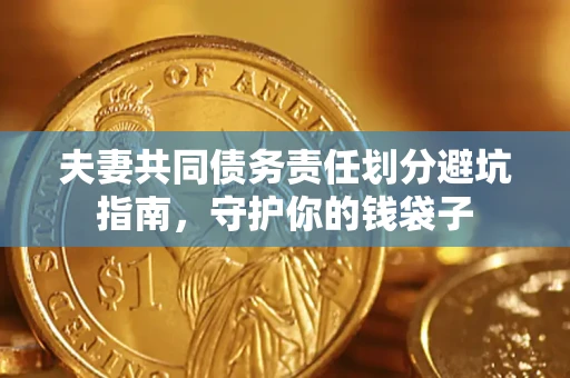 北京夫妻共同债务责任划分避坑指南，守护你的钱袋子