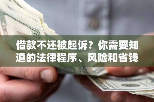 北京借款不还被起诉？你需要知道的法律程序、风险和省钱技巧
