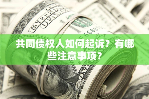 北京共同债权人如何起诉？有哪些注意事项？